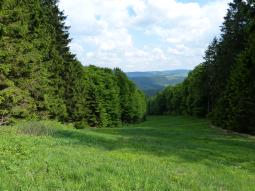 sauerland